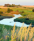 rolling stream next to farmland, tall grassess, blue sky