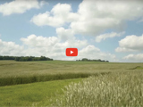 Video of farm field with blue sky and clouds and red video play button