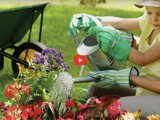 Image of woman and child holding a water can watering plants and a red video play icon