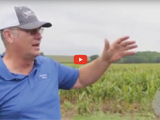 farmer standing in field with blue colared shirt and baseball cap talking and red video play button