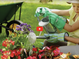 image of girl and woman watering flowers and a red video play button